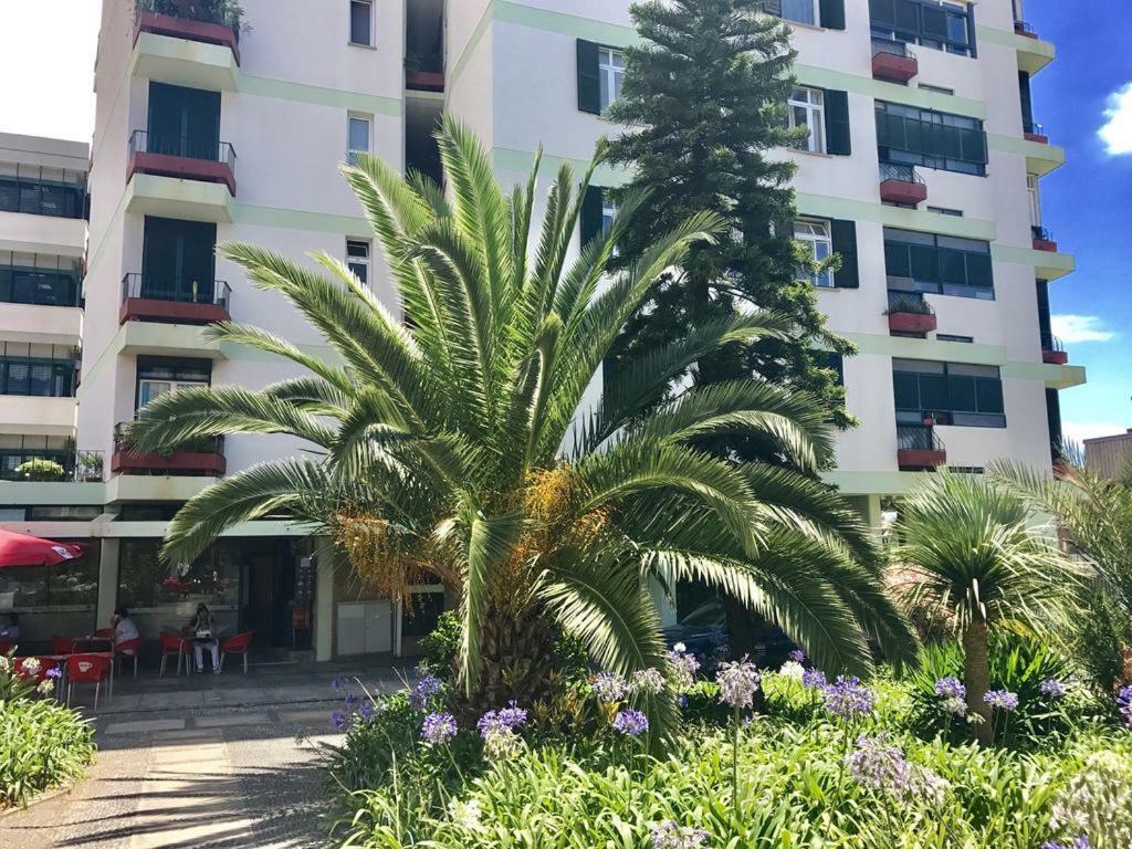 Funchal Apartament Marina View With Parking Free エクステリア 写真